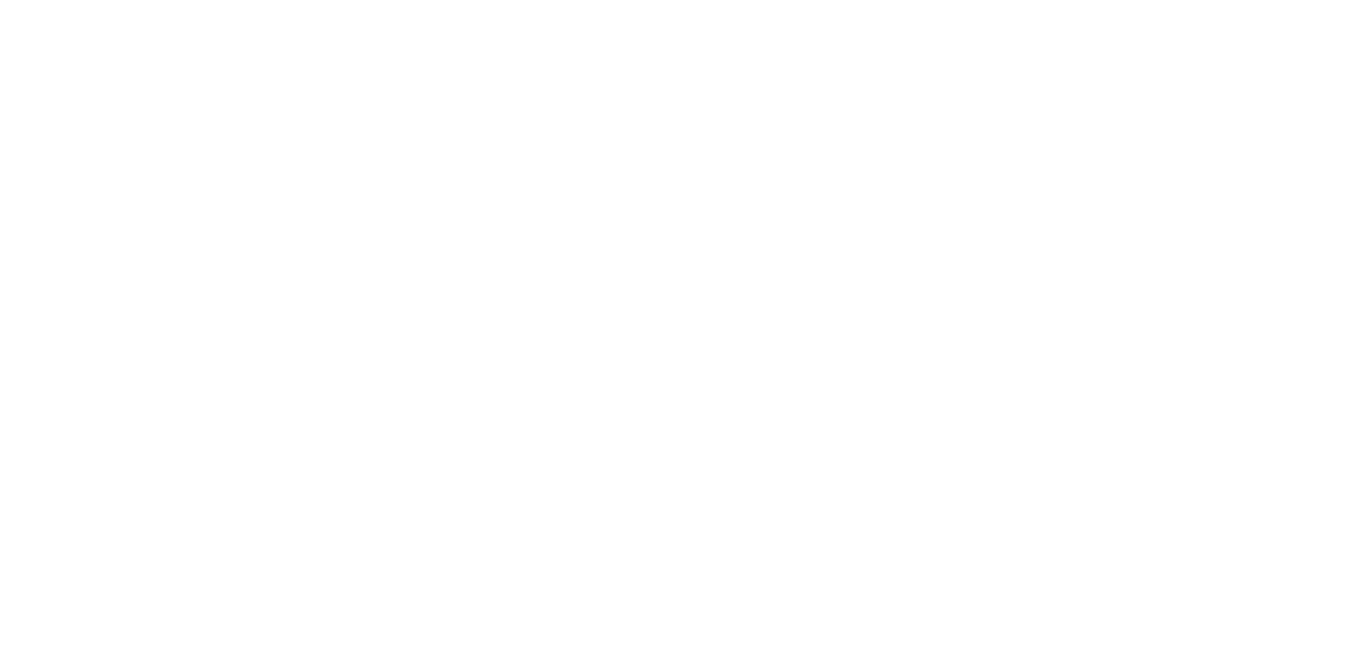 Il logo di Stripe, il nostro partner per i pagamenti online